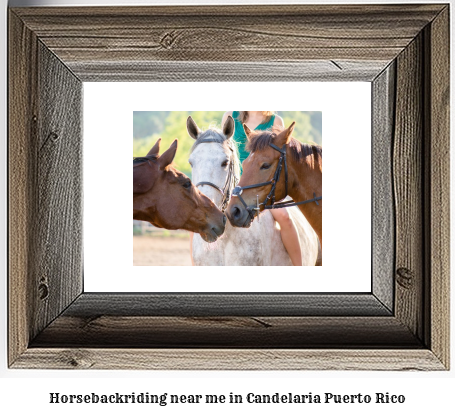 horseback riding near me in Candelaria, Puerto Rico